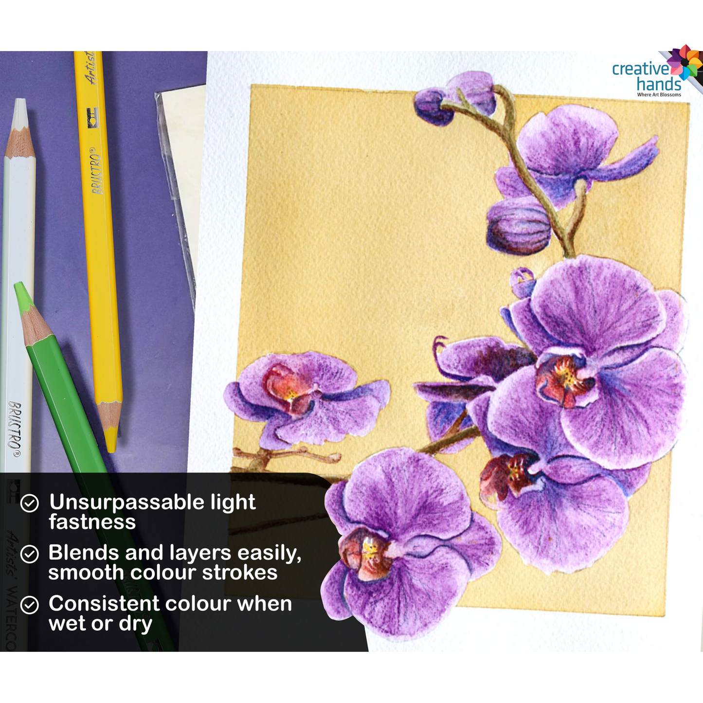 Brustro Artists Watercolour Pencils | Set of 72 Colors in Elegant tin Box |4mm Leads, Non-toxic, Break-resistant, water soluble, Suitable for Blending, Layering, Painting.