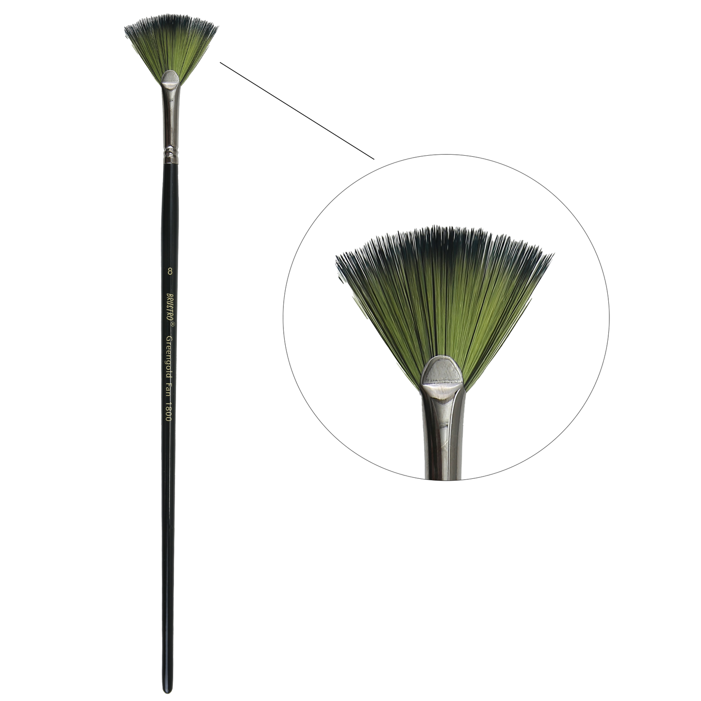 Brustro Artists Greengold Acrylic Brush Fan Series 1800 - Size - 8 | Ideal for Oil, Acrylic Painting on Paper, Canvas, Fine Art Students and Professional.