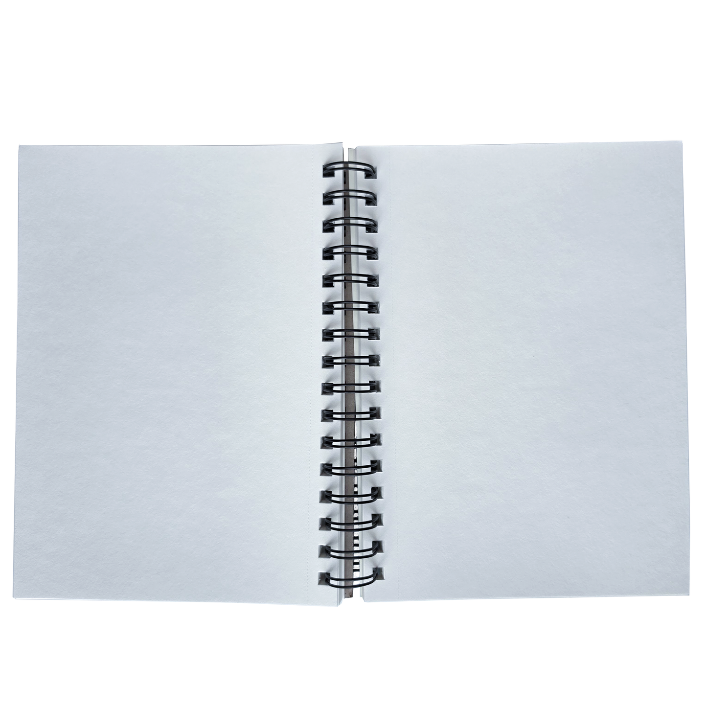 Brustro Sketch Journal (5.5 x 8.5 Inches), 100 Sheets, 100 GSM, Wiro Bound with Perforated Pages | Ideal for Writing, Sketching & Drawing with Pens, Graphite, Charcoal, Pastels & Colour Pencils