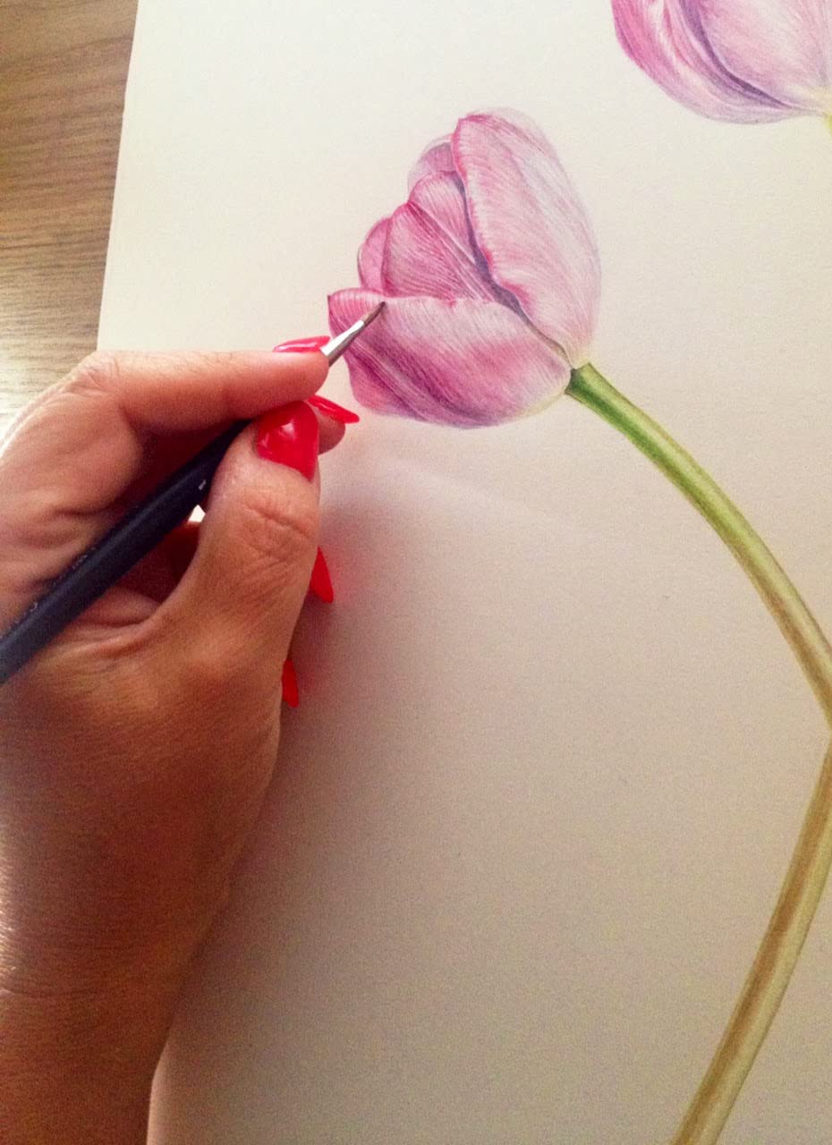 Brustro Artists Watercolour Paper, 200 GSM, A3-25% Cotton Cold Pressed, 6 + 2 Free Sheets