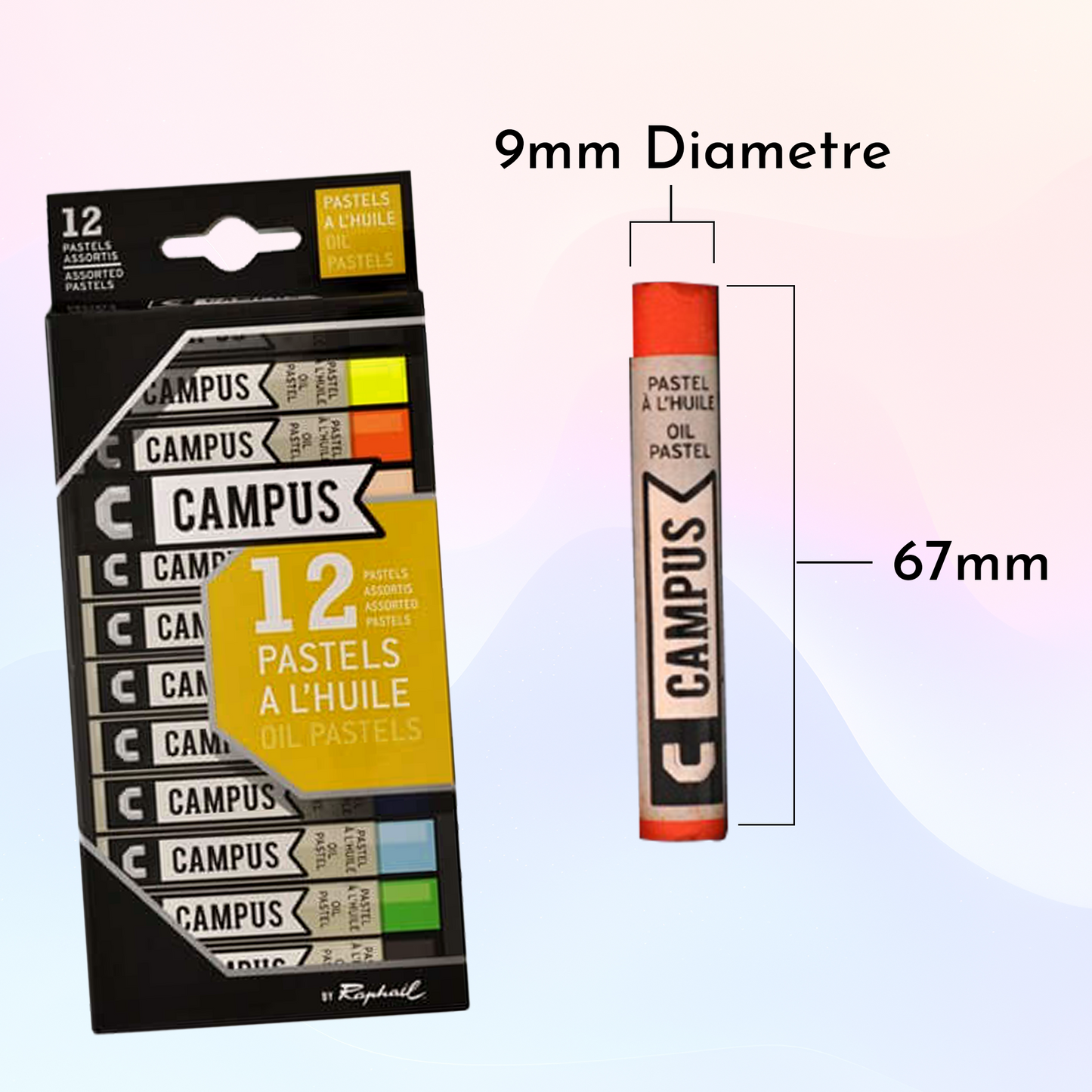 Sennelier Campus Oil Pastels Set of 12