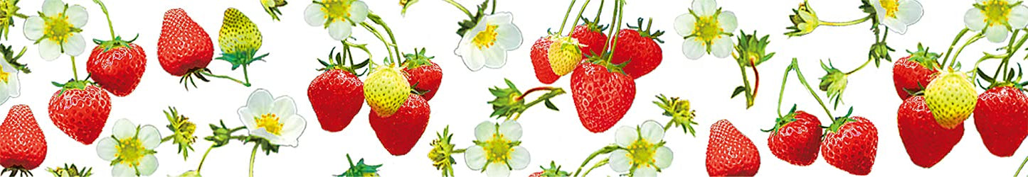 mt Washi Japanese Masking Tape EX Series, 15 mm x 10 mtrs Shade - Strawberry