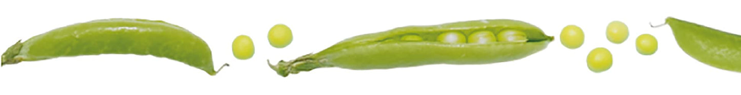 mt Washi Japanese Masking Tape , 7mm x 7 mtrs Shade - Snap Pea