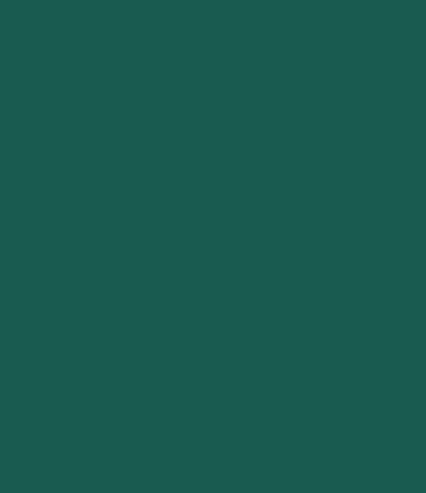 Sennelier Extra Fine Gouache 21ml (58 Shades available)
