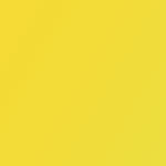 Sennelier Rive Gauche Artist Oil Color 200 ml