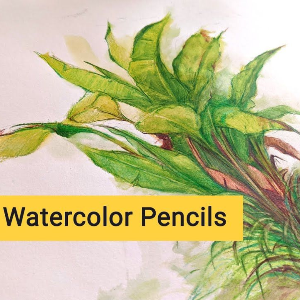 Brustro Artists Watercolour Pencils | Set of 72 Colors in Elegant tin Box |4mm Leads, Non-toxic, Break-resistant, water soluble, Suitable for Blending, Layering, Painting.