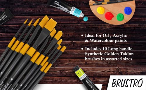 BRUSTRO Artist's Acrylic Colour | Set of 12 Colours X 12ml Tubes with Artists Gold TAKLON Brushes - Set of 10 | Ideal for Non-Craking Paint for Canvas, Wood,Leather,Portrait