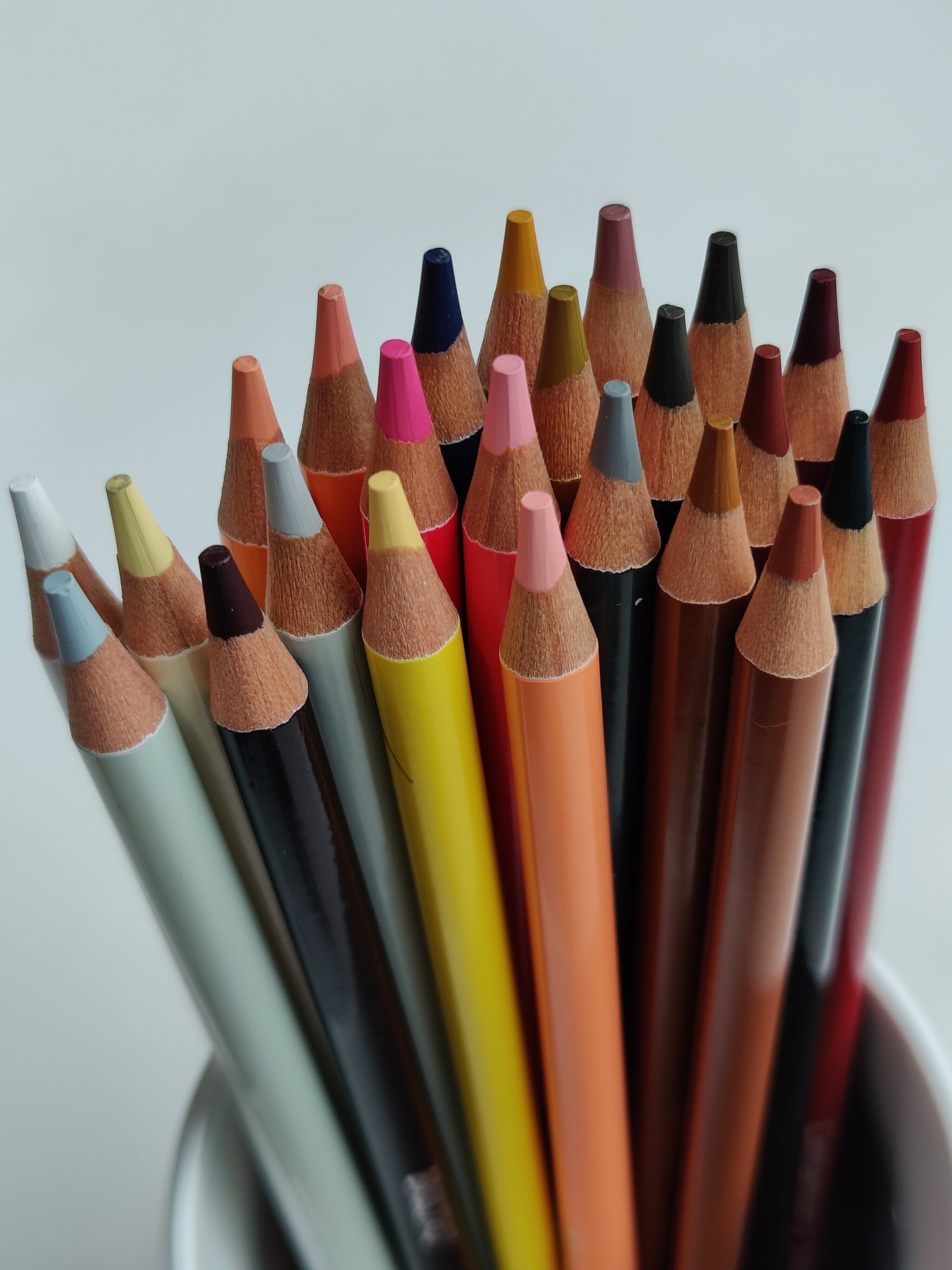 BRUSTRO Artist's Colour Pencil Skin Tone| Set of 24 (in an Elegant tin Box) | Ideal for Coloring, Vibrant shades, human face, Break & Fade resistant, DIY Art,Highly Pigmented, Mandala, Portrait