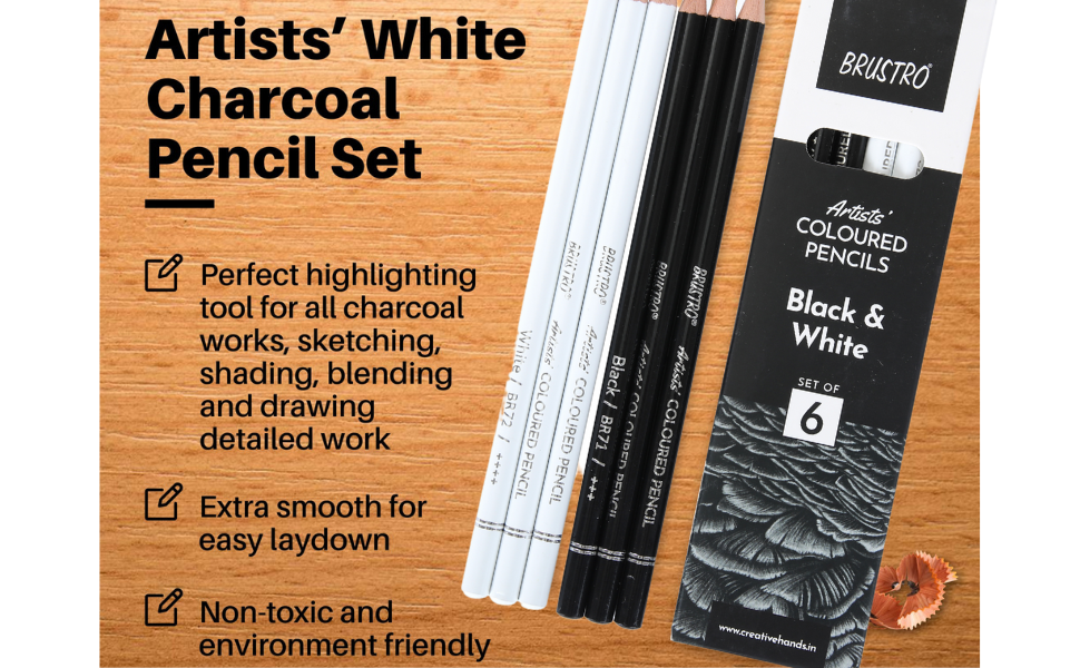 Brustro Artists’ B &W Coloured Pencils Set of 3 Whites and 3 Blacks