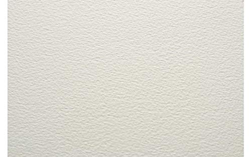 Fabriano Artistico Traditional White Watercolour Paper Cold Pressed 300 gsm ( 3+1 free ) 22 inch X 30 inch