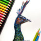 BRUSTRO Artists Colour Pencil Set of 72 (in Elegant tin Box) with Drawing Glued Pad