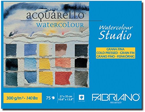 Fabriano Studio Watercolor Blocks CP 300 GSM 27 X 35 CM (1 SIDE GLUED)