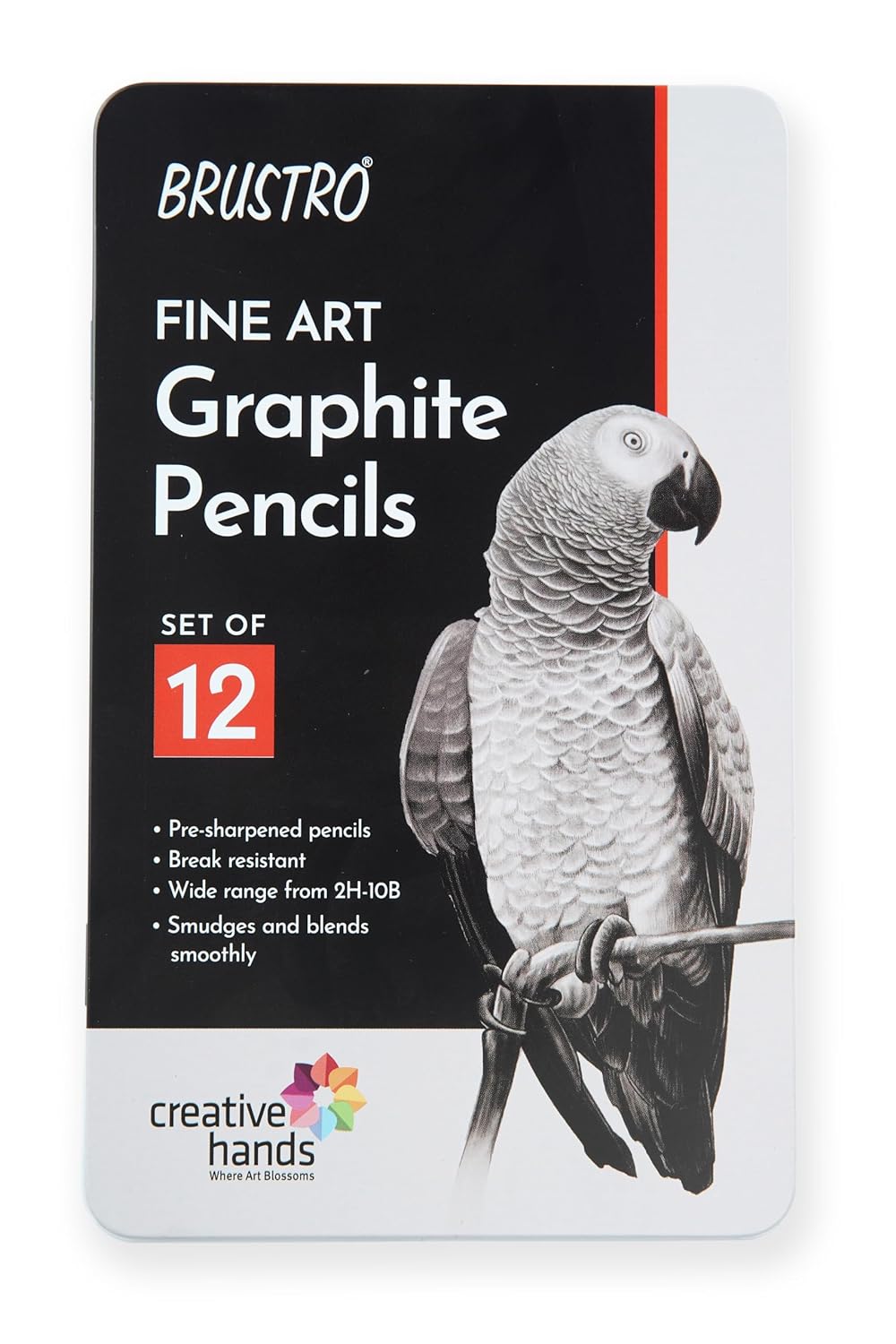 BRUSTRO Artists Fineart Graphite Pencil Set of 12 (10B-2H) ECO PVC dust Free Eraser (Pack of 2)