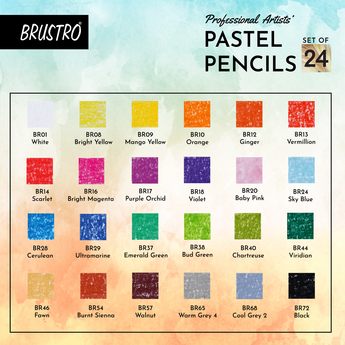 BRUSTRO Artists Pastel Pencils - Set of 24 Shades - 4mm Lead | Break Resistant, Erasable, High Pigmented, Vibrant Colours | Ideal for Drawing, Sketching, Mandala, Shading, Portrait, Fine Art Students.