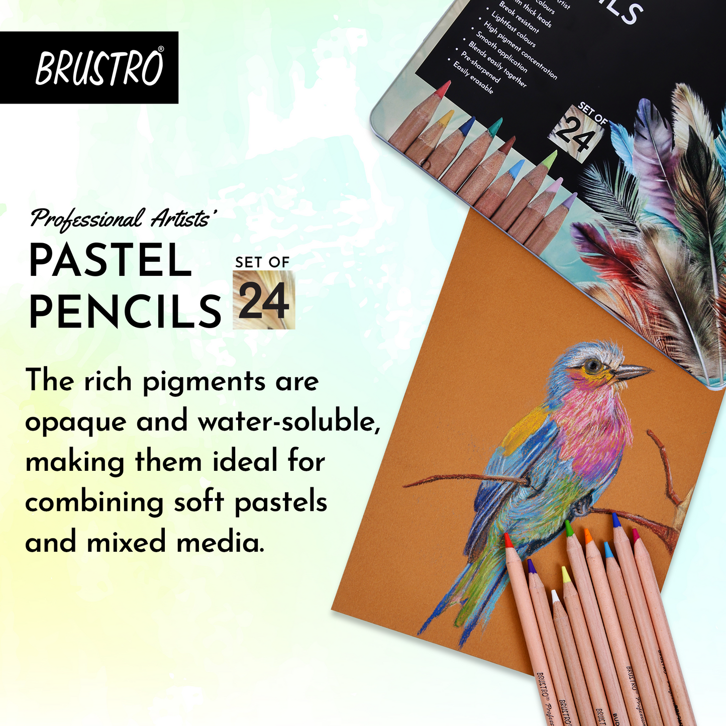 BRUSTRO Artists Pastel Pencils - Set of 24 Shades - 4mm Lead | Break Resistant, Erasable, High Pigmented, Vibrant Colours | Ideal for Drawing, Sketching, Mandala, Shading, Portrait, Fine Art Students.