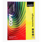 BRUSTRO Copytinta Multicoloured Craft Paper Bright | DIY Art |A4 Size | 80 GSM | Pack of 40 Sheets (10 colors x 4 sheets) | Ideal for Students and Adults Origami ideas, Home, School, Office, Stationery Use