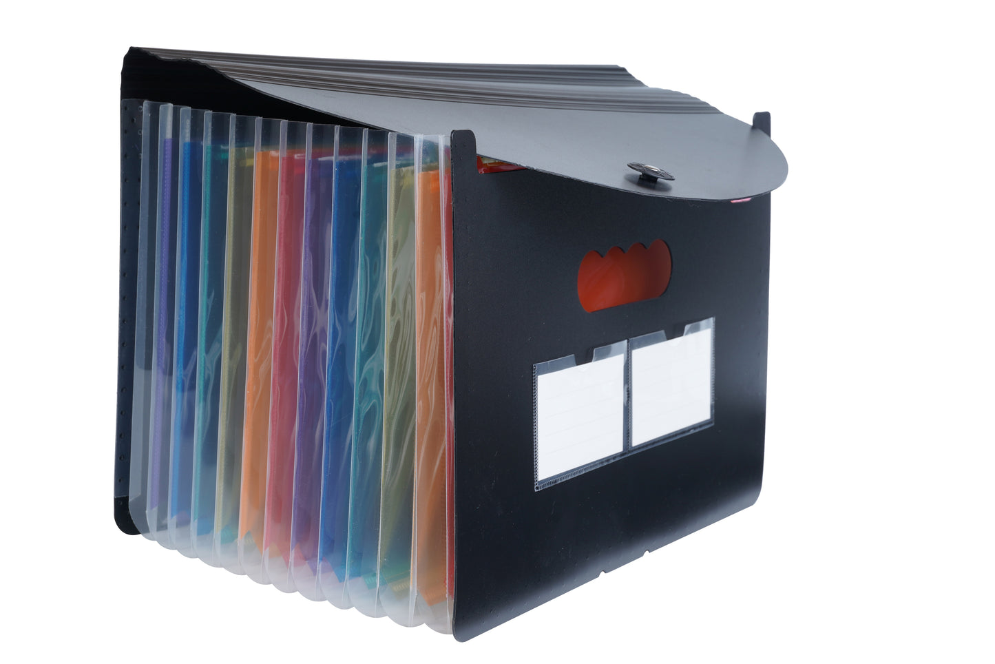 Brustro EZExpand A4 Folder 13 Pocket Expanding File Folder, Accordion Document Organizer for School, Home & Office