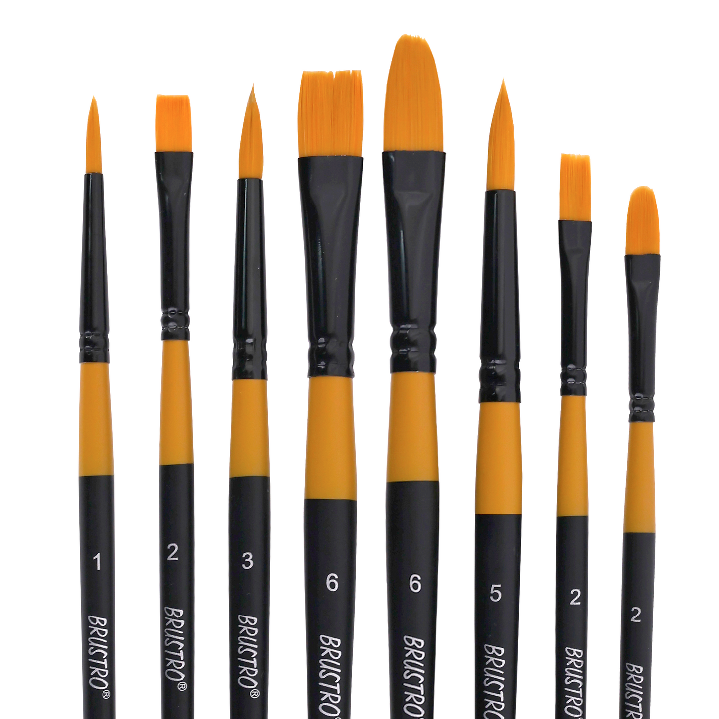 BRUSTRO Gold Taklon Artist's Brushes | Set of 8 | Sizes - Round (1,3,5), Bright (2,6), Filbert (2,6), and Flat (2) | Matte finish, Ideal for Acrylic, Watercolour, Oil Paintings, School, Office Use.