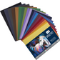 Brustro Artists Pastel Papers 160 GSM A3 Assorted Bright (Pack of 20 Sheets)