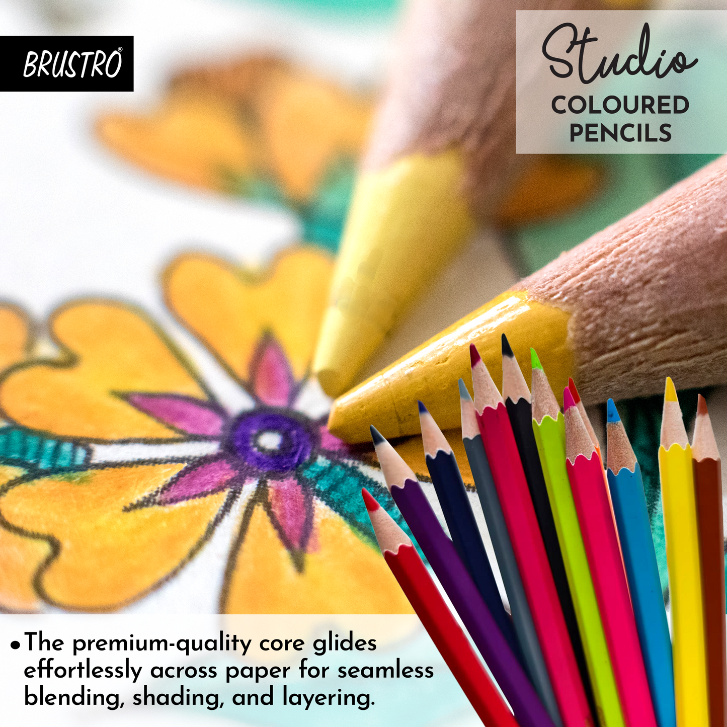 Brustro Studio Colour Pencil Set 24 in a Metal Tube|Break Resistant 3mm Lead,Easy to Blend,High Pigmented,Vibrant Colours,Non-Toxic,Pre-Sharpened|Ideal For Sketching, Drawing, Portrait