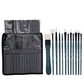 BRUSTRO Artists’ VerdeStroke Brush Set of 12 with free Brush Roll | Natural Hog Bristles, Birchwood Handles| Ideal for Acrylic, Oil Painting & Charcoal Blending on Paper, Canvas, Boards