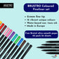 BRUSTRO Coloured Fineliner set of 12, 0.4mm. Ideal For writing, drawing, doodles, mandala etc.