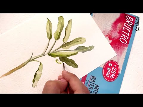 Brustro Artist Watercolour 100% Cotton Paper Roll 300 Gsm- Hot Pressed. Size 66 cm (26") x10 mtr
