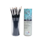 BRUSTRO Artists Watercolours & Acrylics Miniature Brush Set of 12 with Free Brush Holder