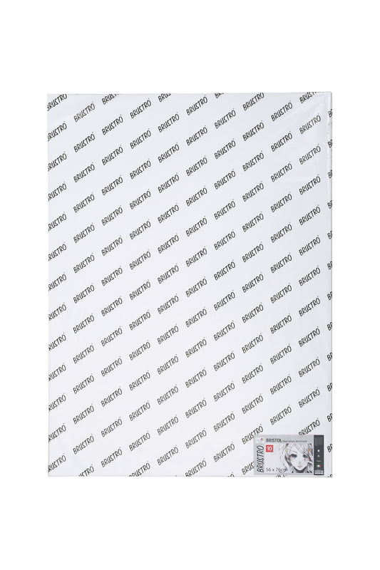 Brustro Bristol Ultra Smooth Paper 250 GSM, Size - 56 x 76 cm, 10 Sheets