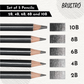 Brustro Artists’ Fineart Graphite Pencil Set of 12 (10B-2H) with 2 Brustro ECO-PVC Dust-free erasers and Brustro Pencil wrap (24 Slots) Canvas Roll Up Carry Case