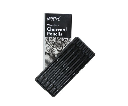 Brustro Woodless Charcoal Pencil Set of 6 (3 Soft, 2 Medium, 1 Hard)