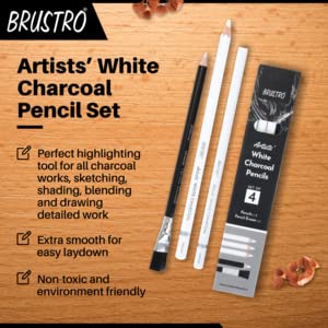 Brustro Artists' Compressed Charcoal Powder - 100ml